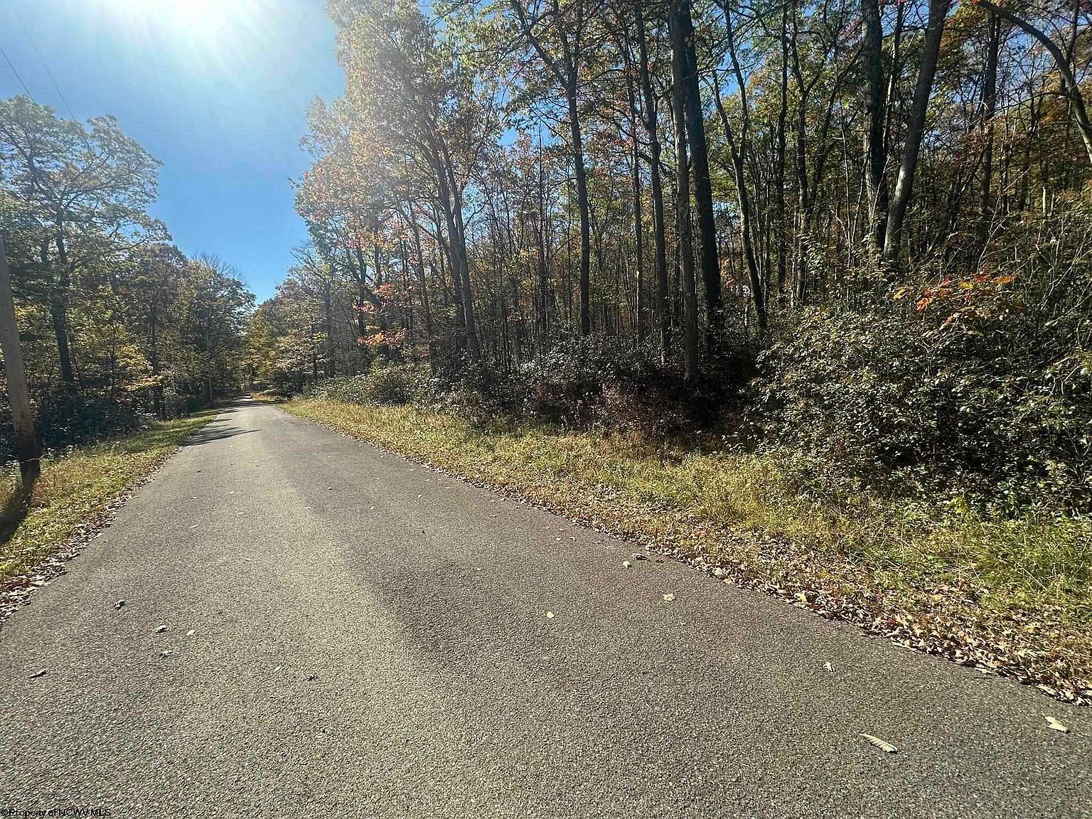 653 Pine Dr Terra Alta, WV 26764 - Thumbnail 3