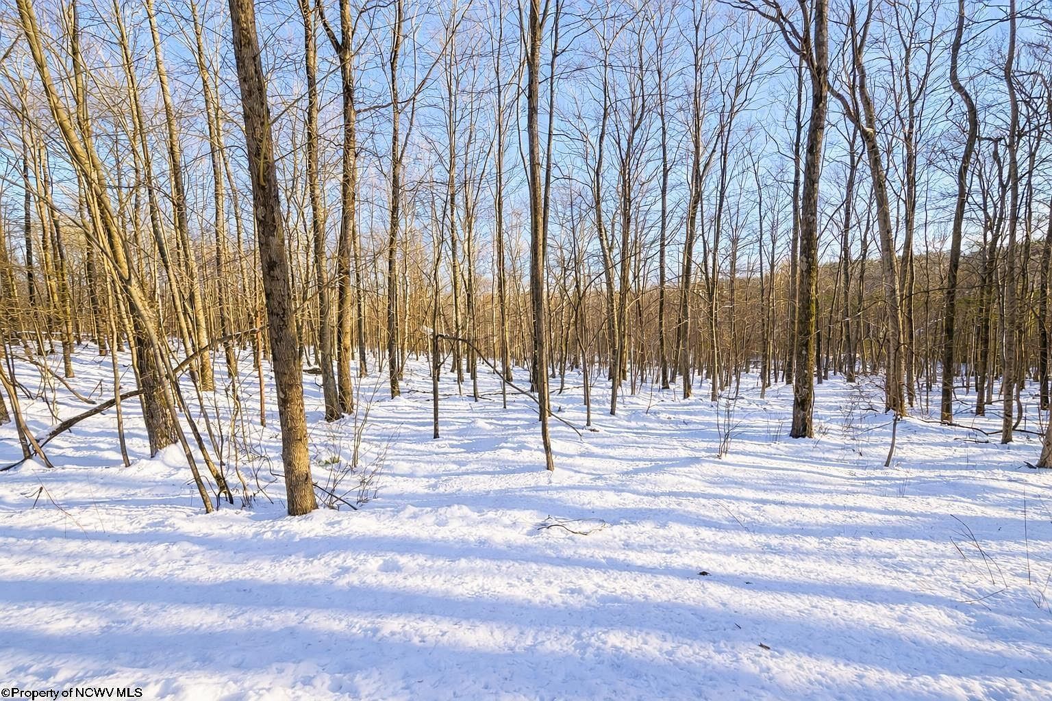 Ash Ct Terra Alta, WV 26764 - Thumbnail 3