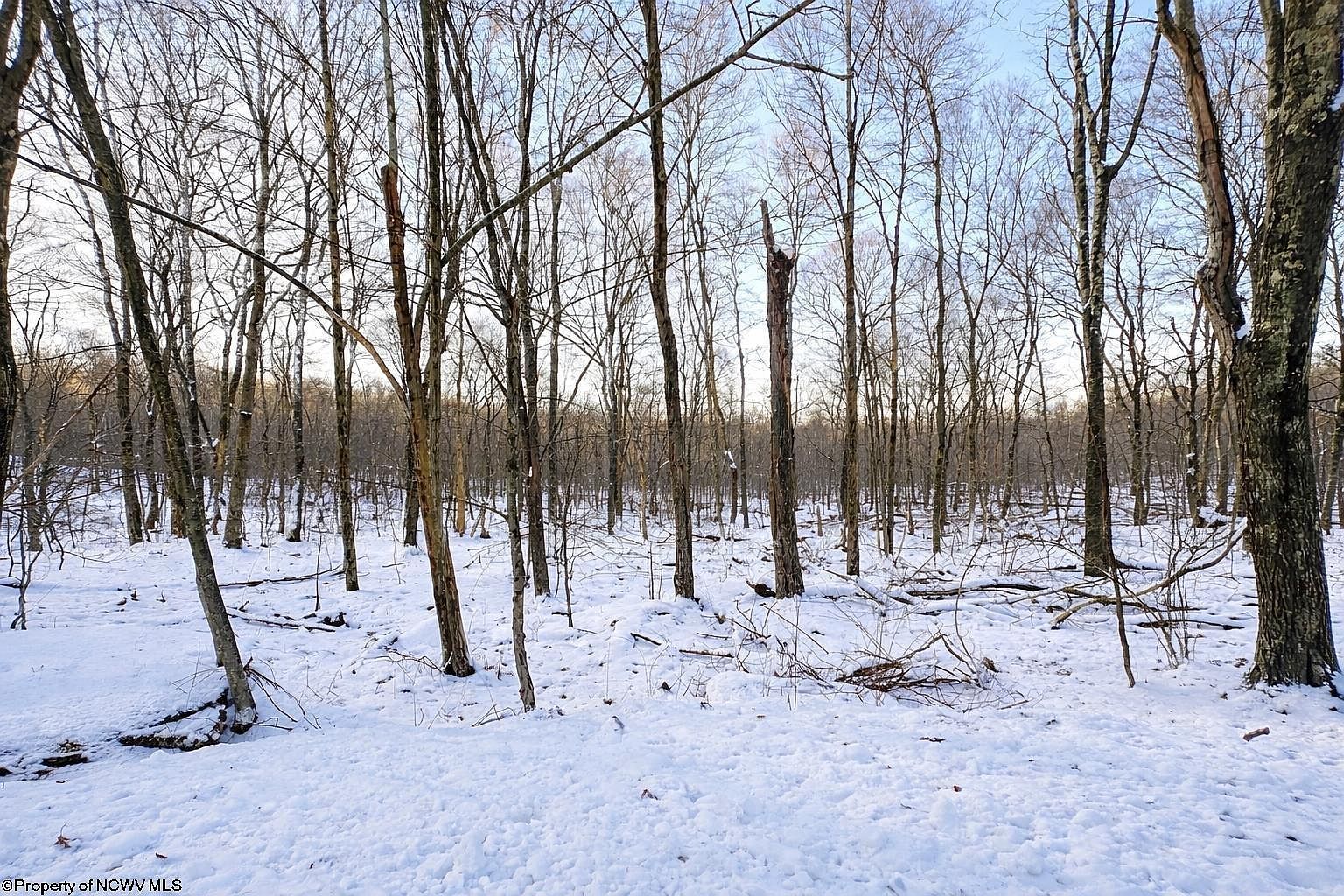 Columbine Cir Terra Alta, WV 26764 - Thumbnail 3