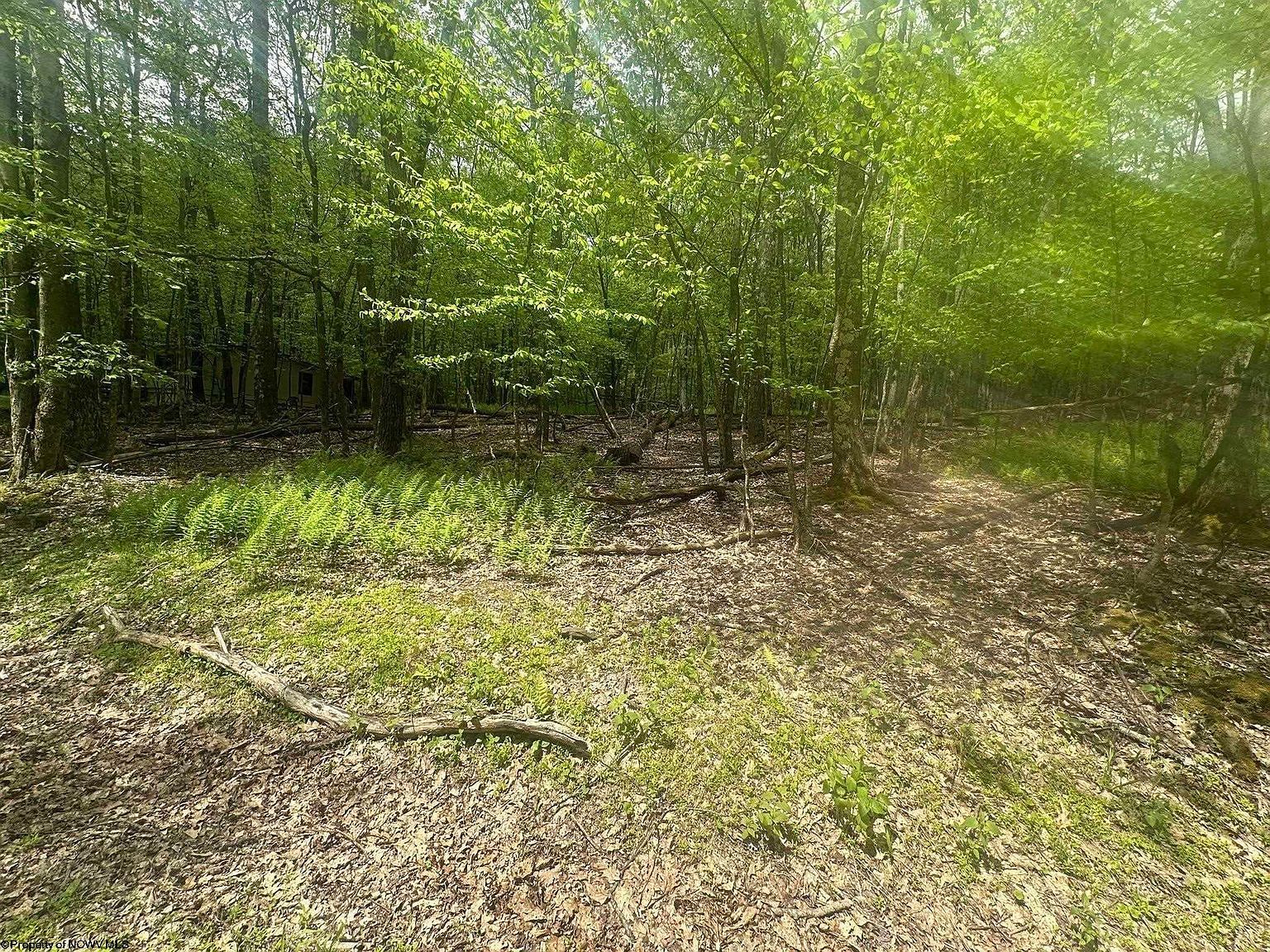 197 Woodbine Dr Terra Alta, WV 26764 - Thumbnail 3