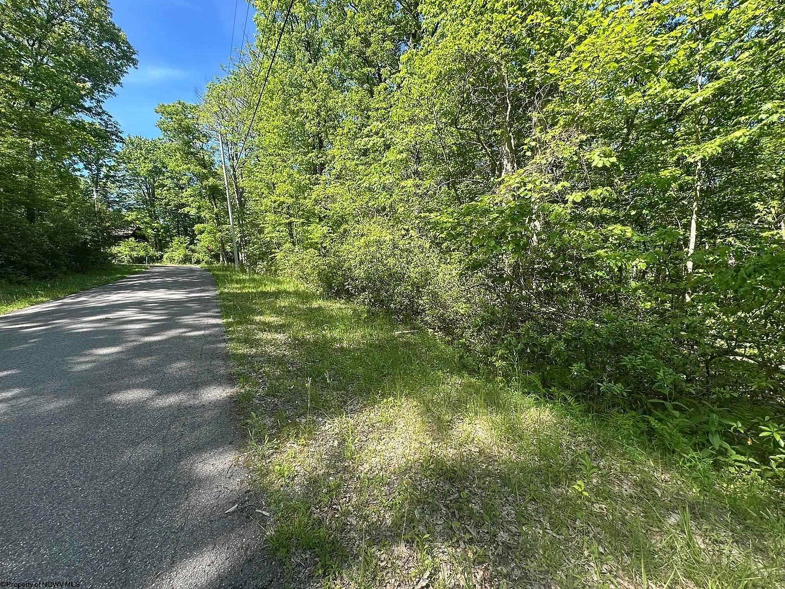65 Pine Dr Terra Alta, WV 26764 - Thumbnail 3