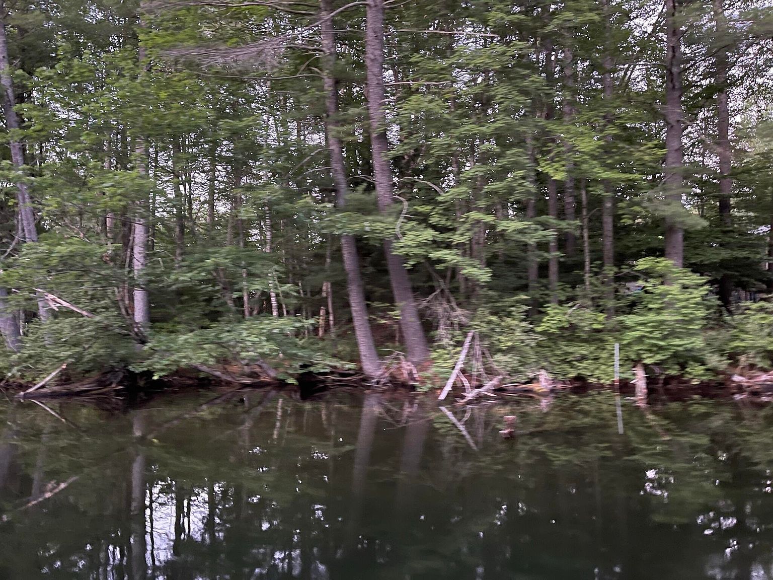 11 Dillingham Rd Naples, ME 04055 - Thumbnail 3