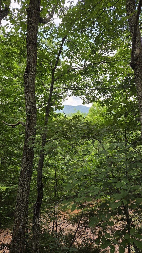 0 Talon Dr Murphy, NC 28906 - Thumbnail 3