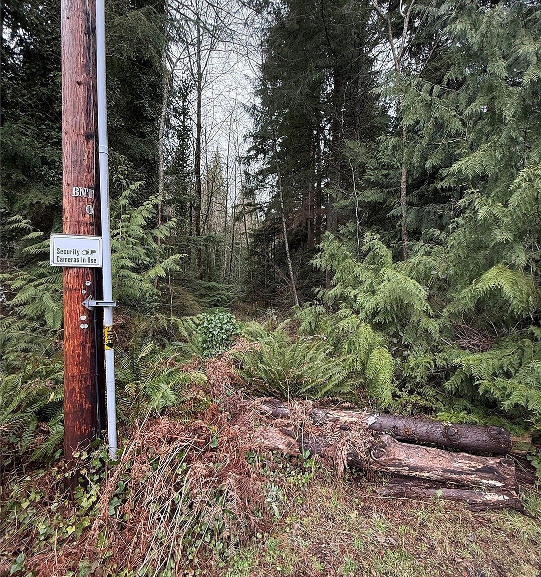 12313 150th St NE Arlington, WA 98223 - Thumbnail 3