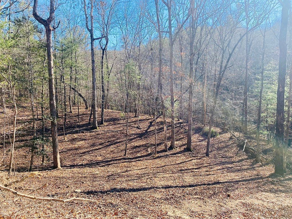 LOT 205 Windy Mountain Peak Murphy, NC 28906 - Thumbnail 3