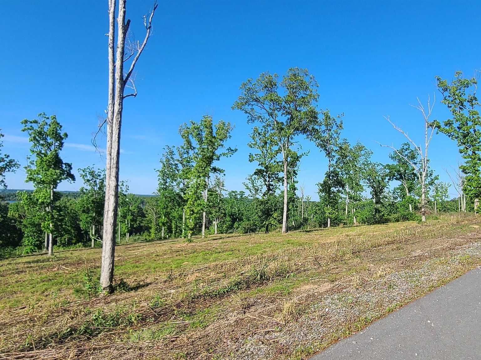 230 Waterview Dr Conway, AR 72032 - Thumbnail 3