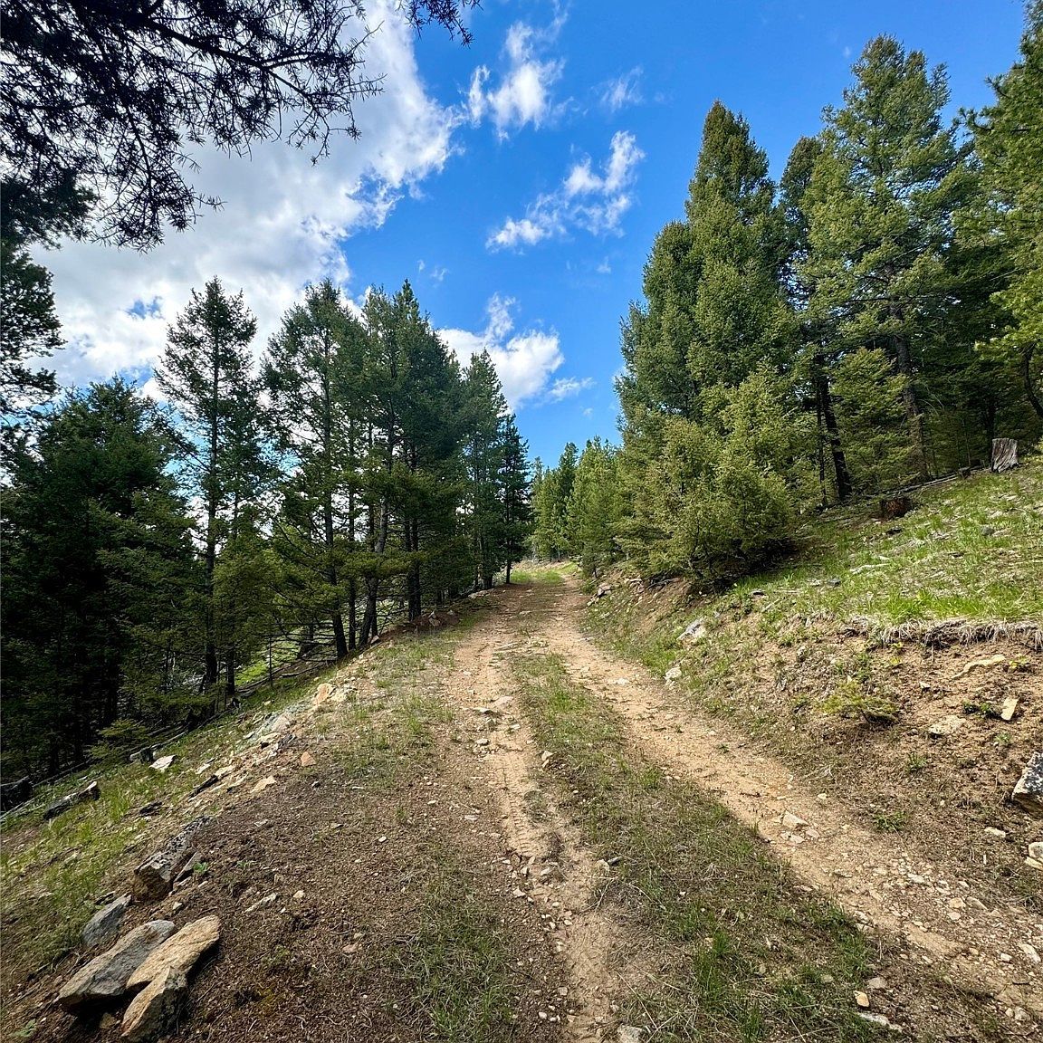 Nhn Perkins Gulch Rd Anaconda, MT 59711 - Thumbnail 3