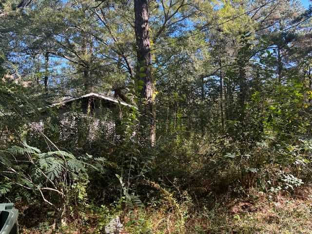 418 Ellis Street, Andalusia, AL, USA, 36420  | Land/Lot