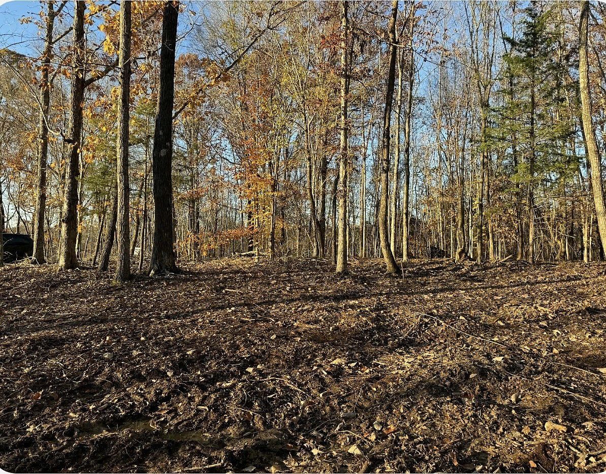 260 Lineport Rd Bumpus Mills, TN 37028 - Thumbnail 3