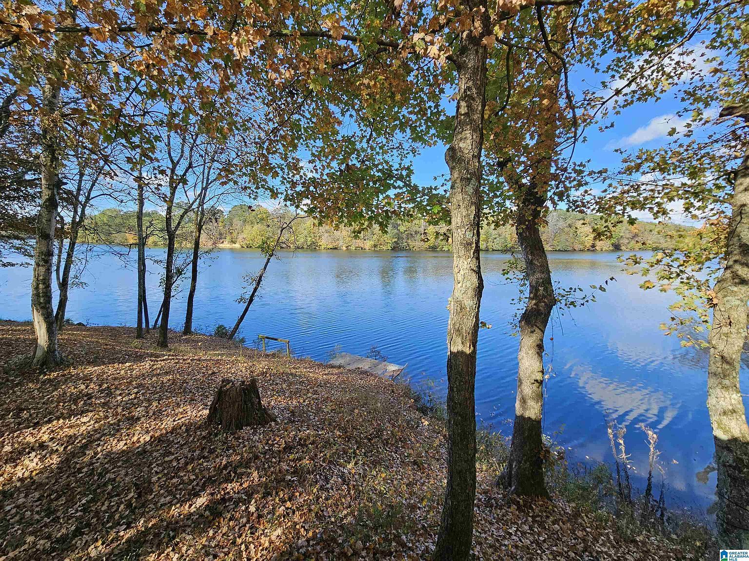 14536 Plant Rd #28 Alpine, AL 35014 - Thumbnail 3