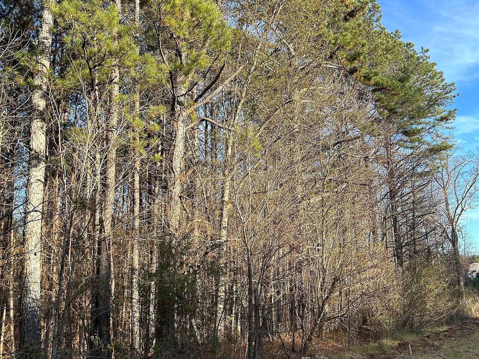 0 Highway 431 #0 Heflin, AL 36264 - Thumbnail 3