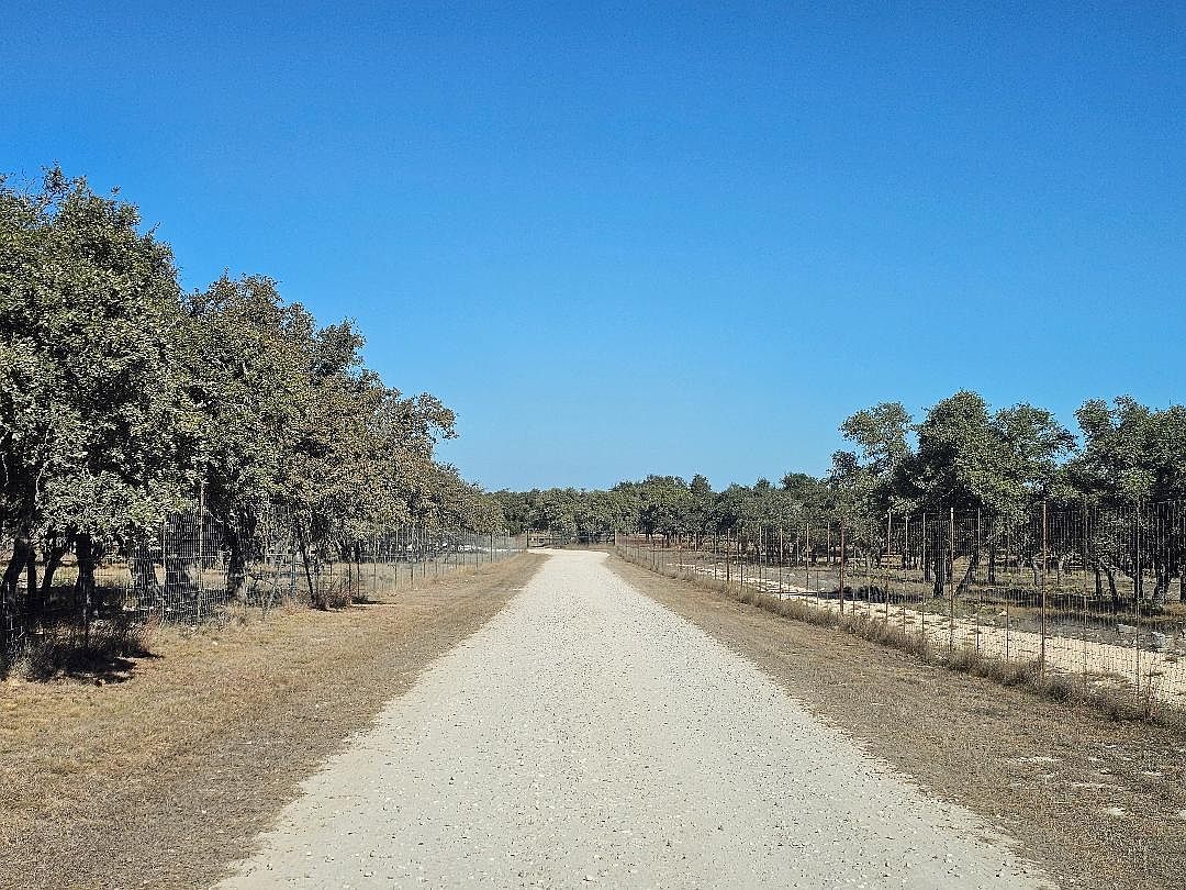 Crooked Tree Cir Harper, TX 78631 - Thumbnail 3