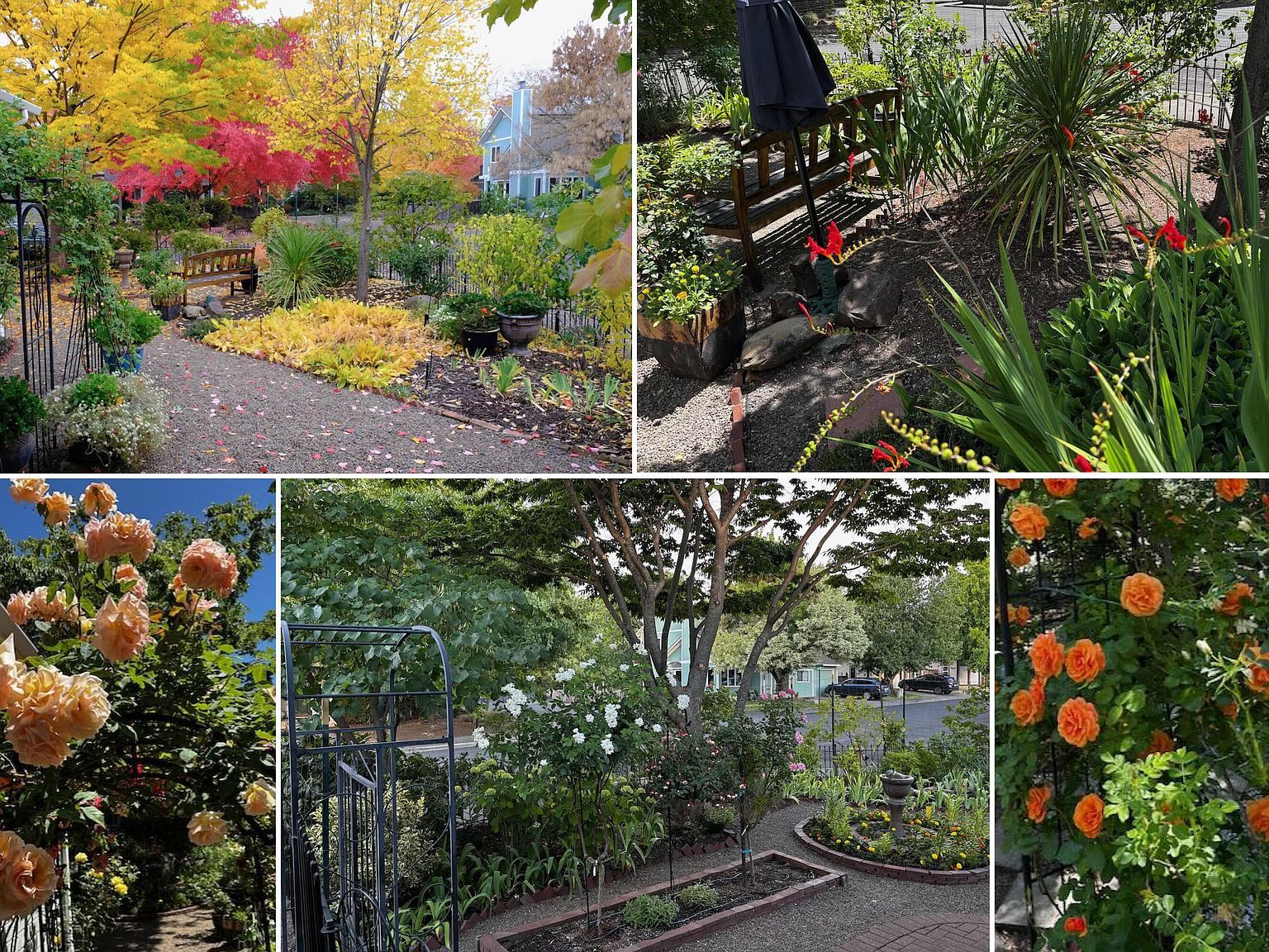 139 N Wightman St Ashland, OR 97520 - Thumbnail 3