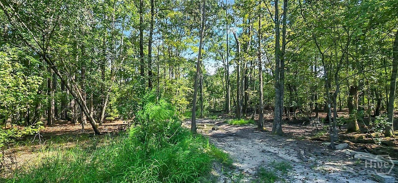 0 4th Ave Guyton, GA 31312 - Thumbnail 3