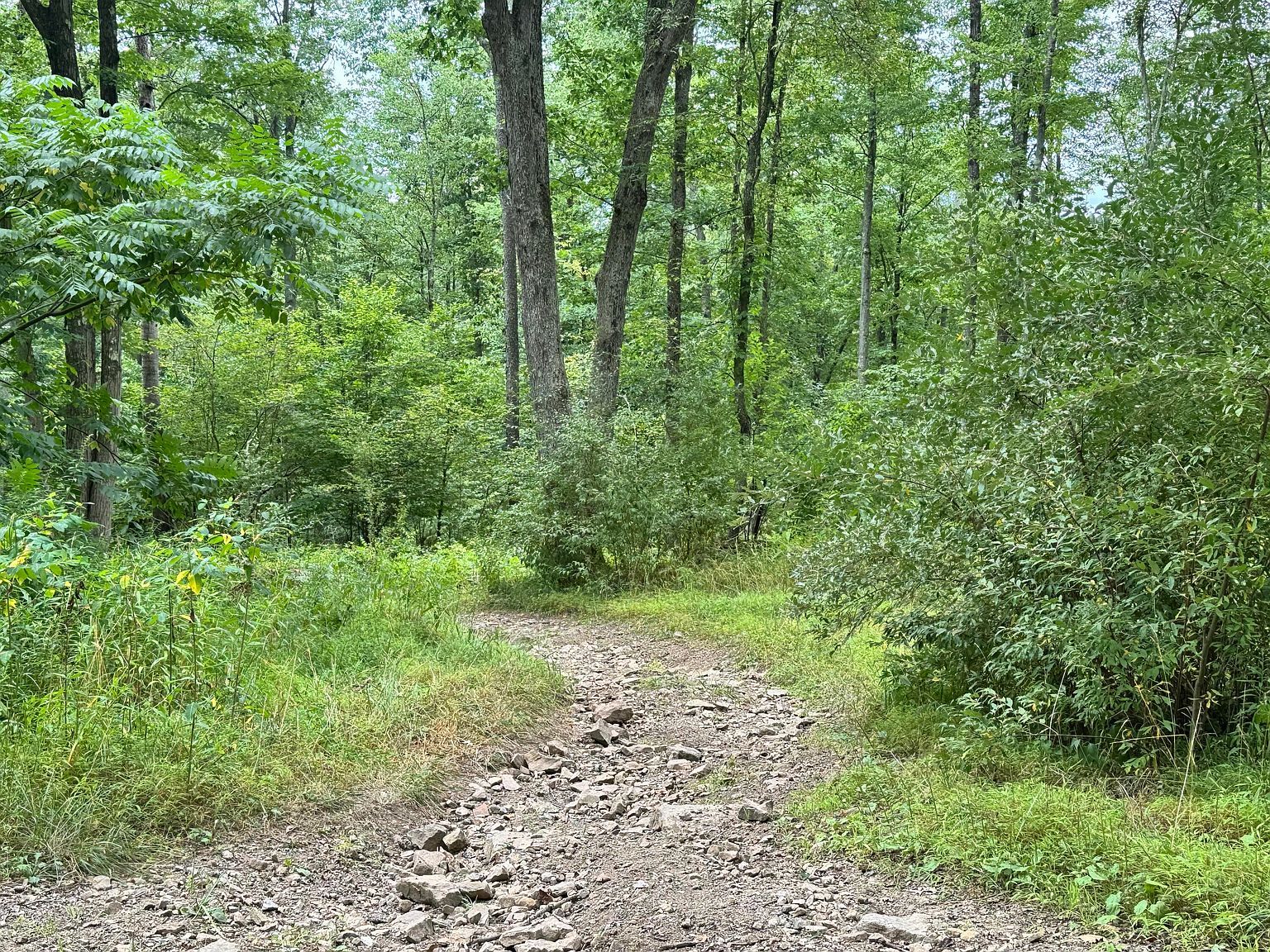 0 Ishman Rd Brookville, PA 15825 - Thumbnail 3