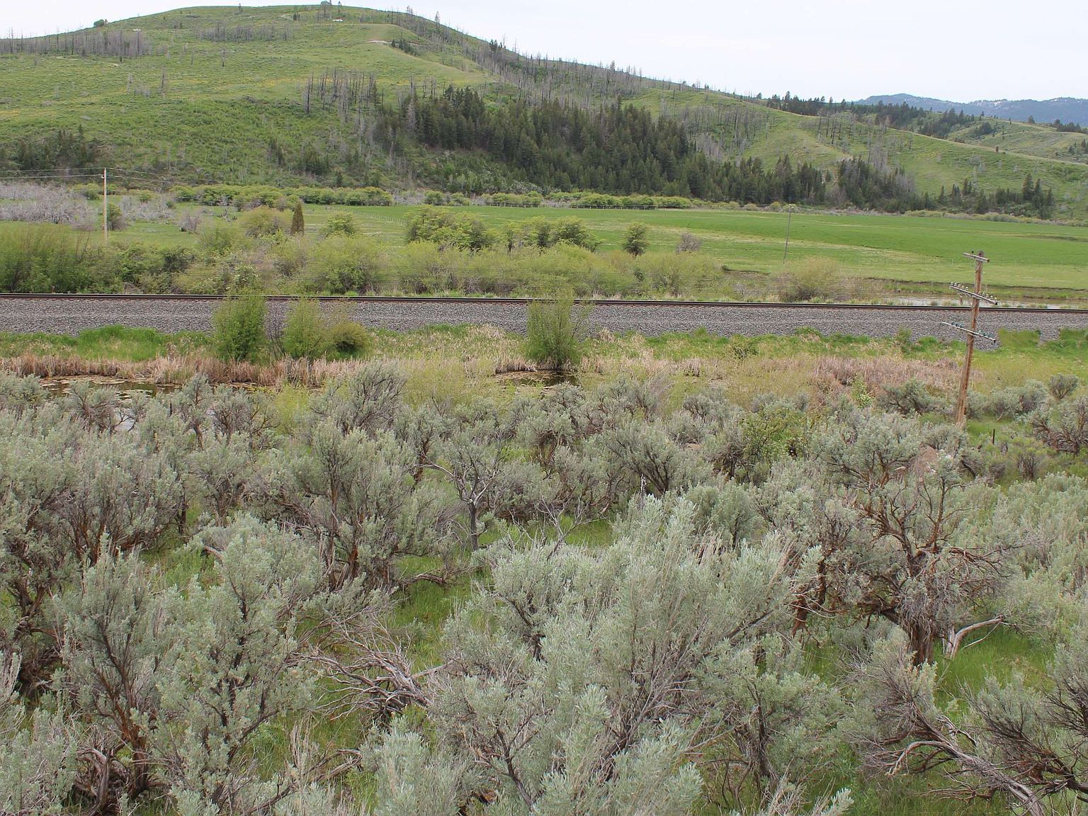 63 Caribou Rd #2 Soda Springs, ID 83276 - Thumbnail 3