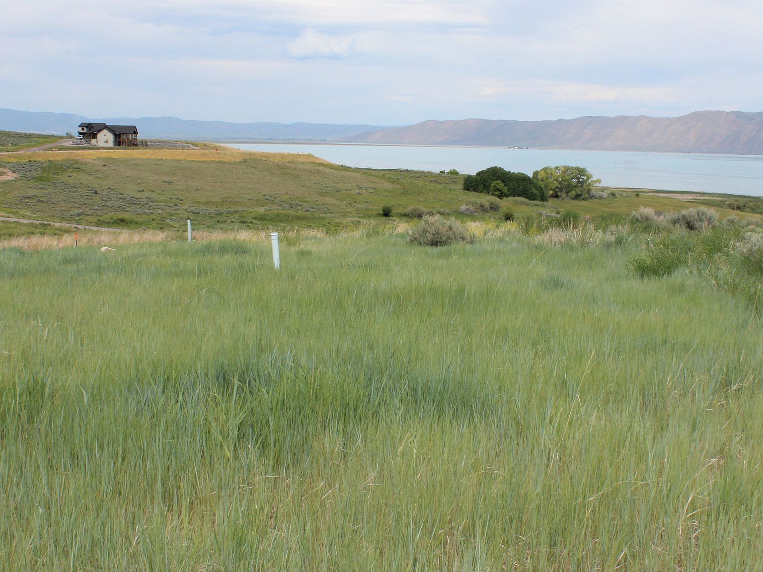 100 Lotus Dr Fish Haven, ID 83287 - Thumbnail 3