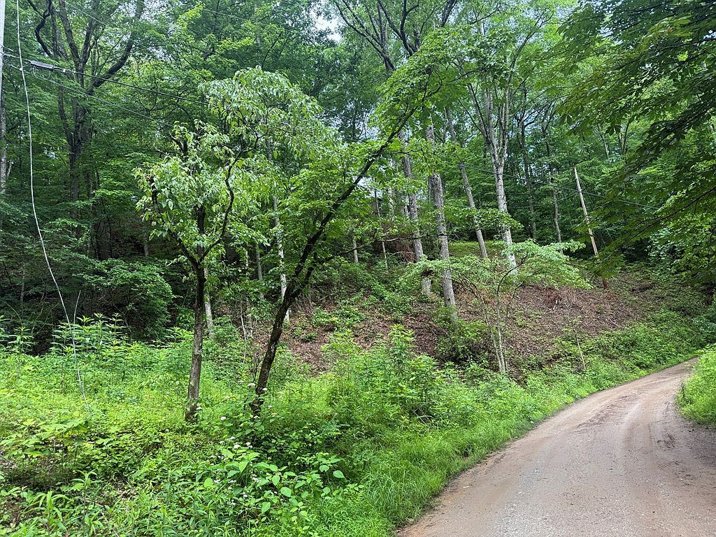 0 Corbin Hills Dr Franklin, NC 28734 - Thumbnail 3