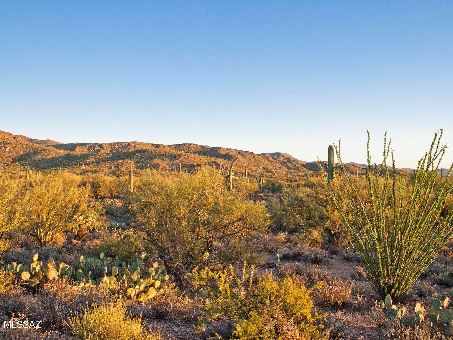 0 E Silverian Rd Marana, AZ 85658 - Thumbnail 3