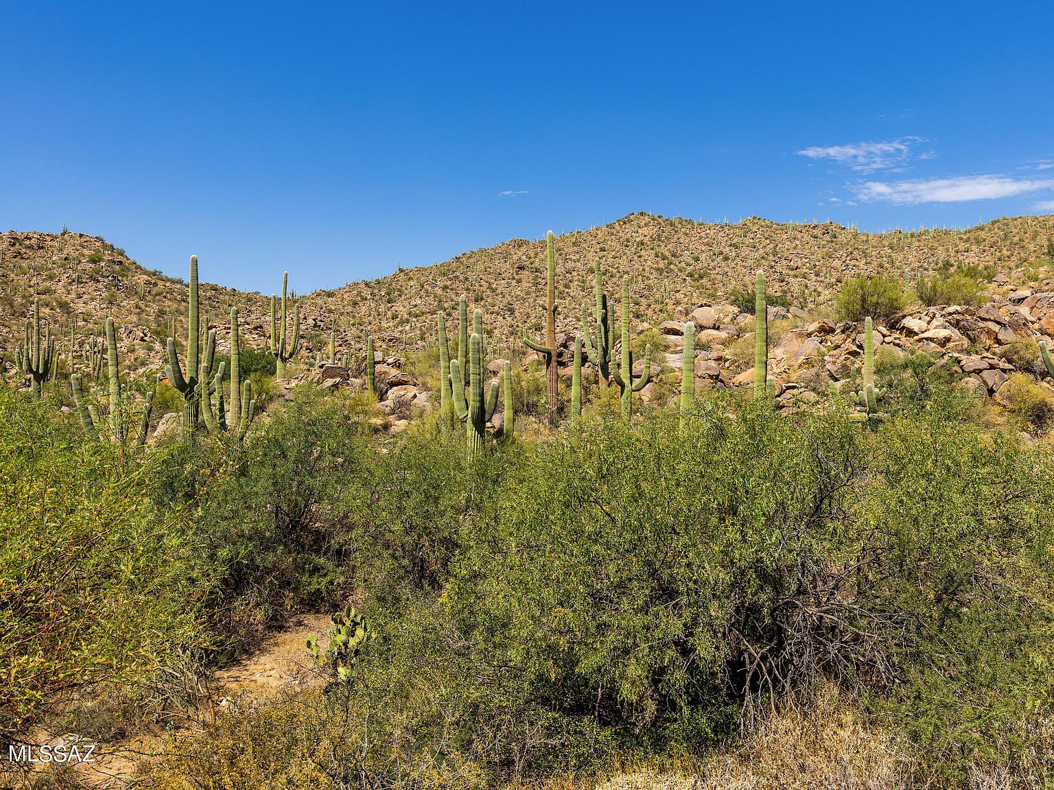 1173 W Tortolita Mountain Cir #182 Tucson, AZ 85755 - Thumbnail 3