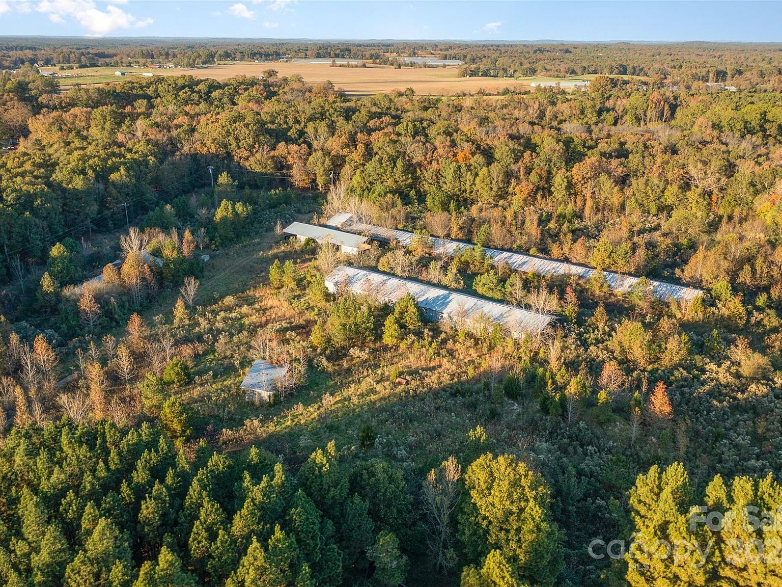 7323 Old Goldmine Rd Peachland, NC 28133 - Thumbnail 3