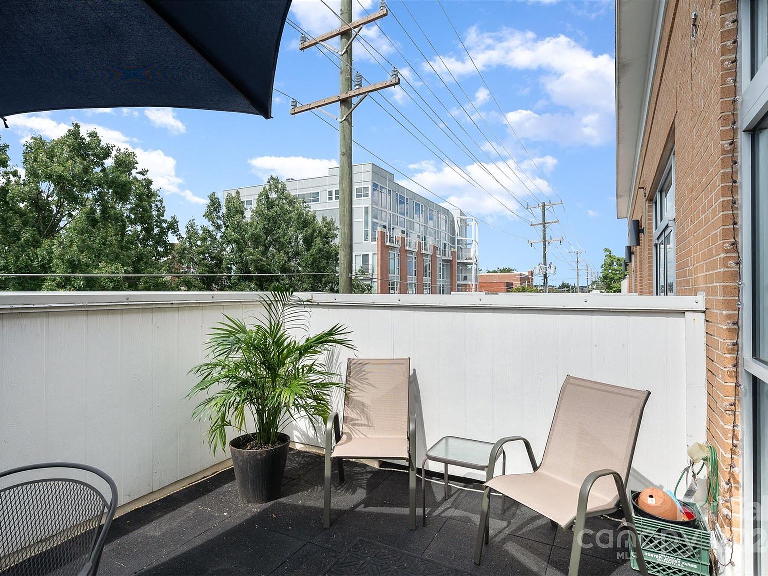 519 E 34th St Charlotte, NC 28205 - Thumbnail 3