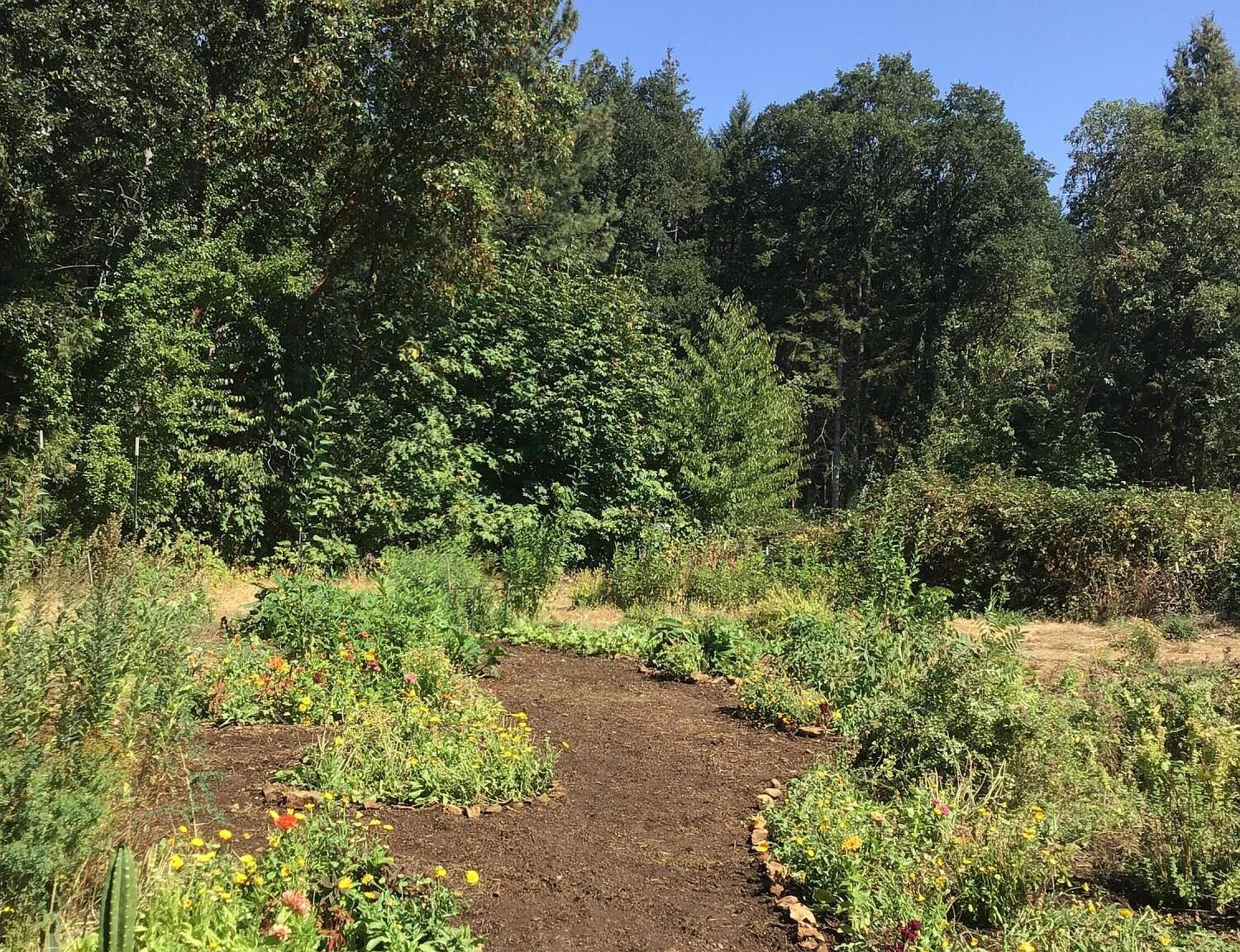 200 Humphrey Addition Rd Glendale, OR 97442 - Thumbnail 3