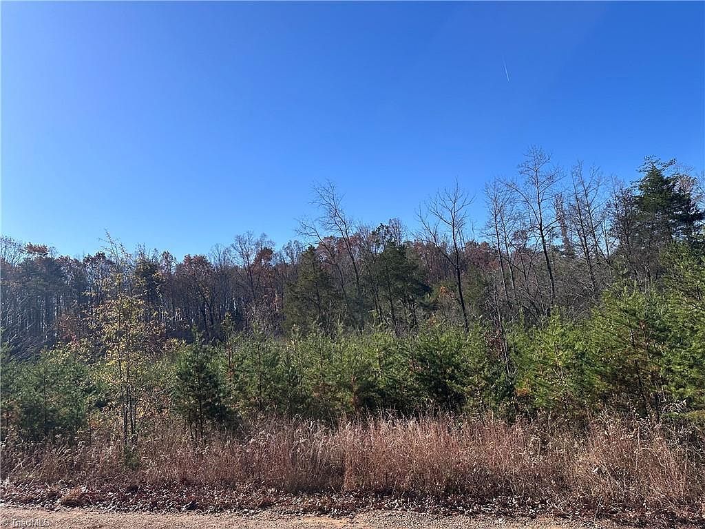 5 Stephens Trail Rd #5 Sandy Ridge, NC 27046 - Thumbnail 3