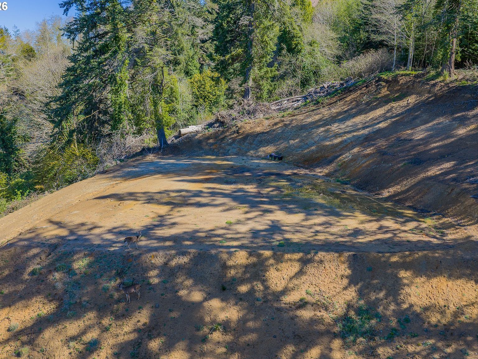 63539 Andrews Rd Coos Bay, OR 97420 - Thumbnail 3