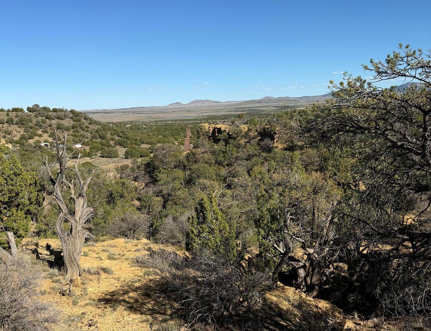 4 County Rd Concho, AZ 85924 - Thumbnail 3