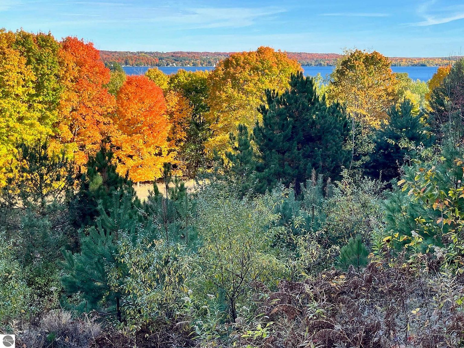 E Hidden Beech Rd Cedar, MI 49621 - Thumbnail 3