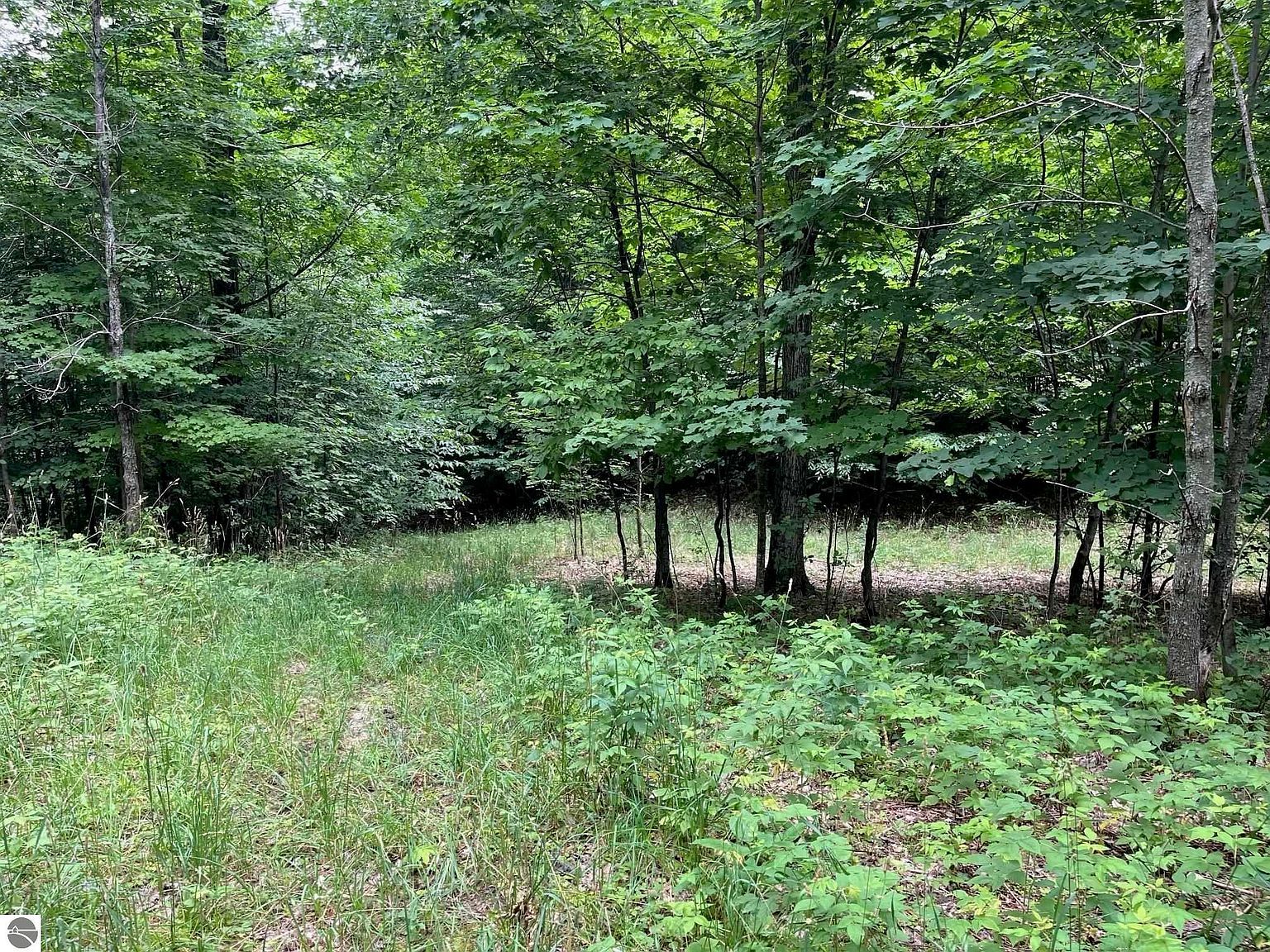 11 W Timberview Trl #11 Empire, MI 49630 - Thumbnail 3