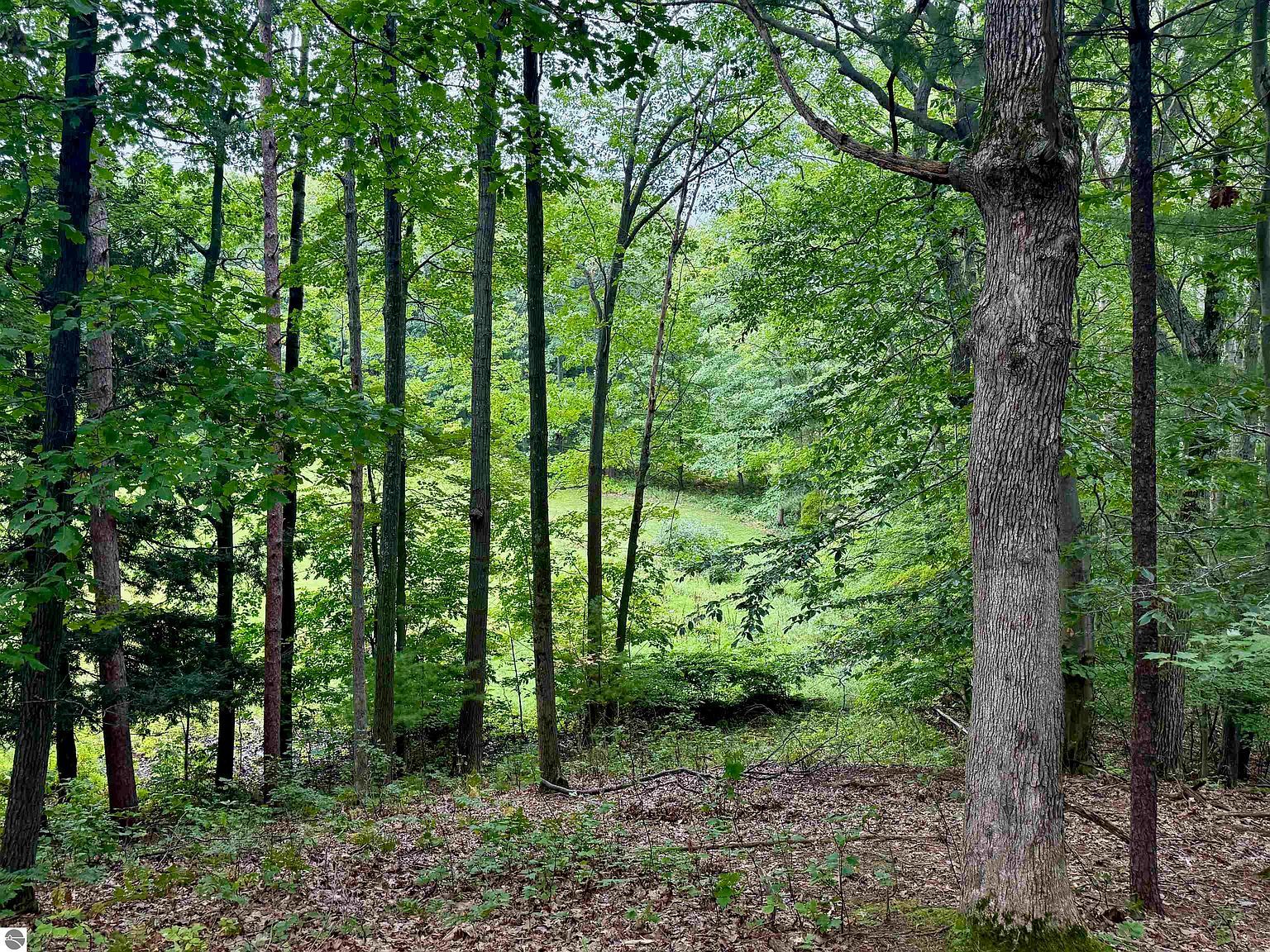 35 Brook Hill Cottages #35 Glen Arbor, MI 49636 - Thumbnail 3