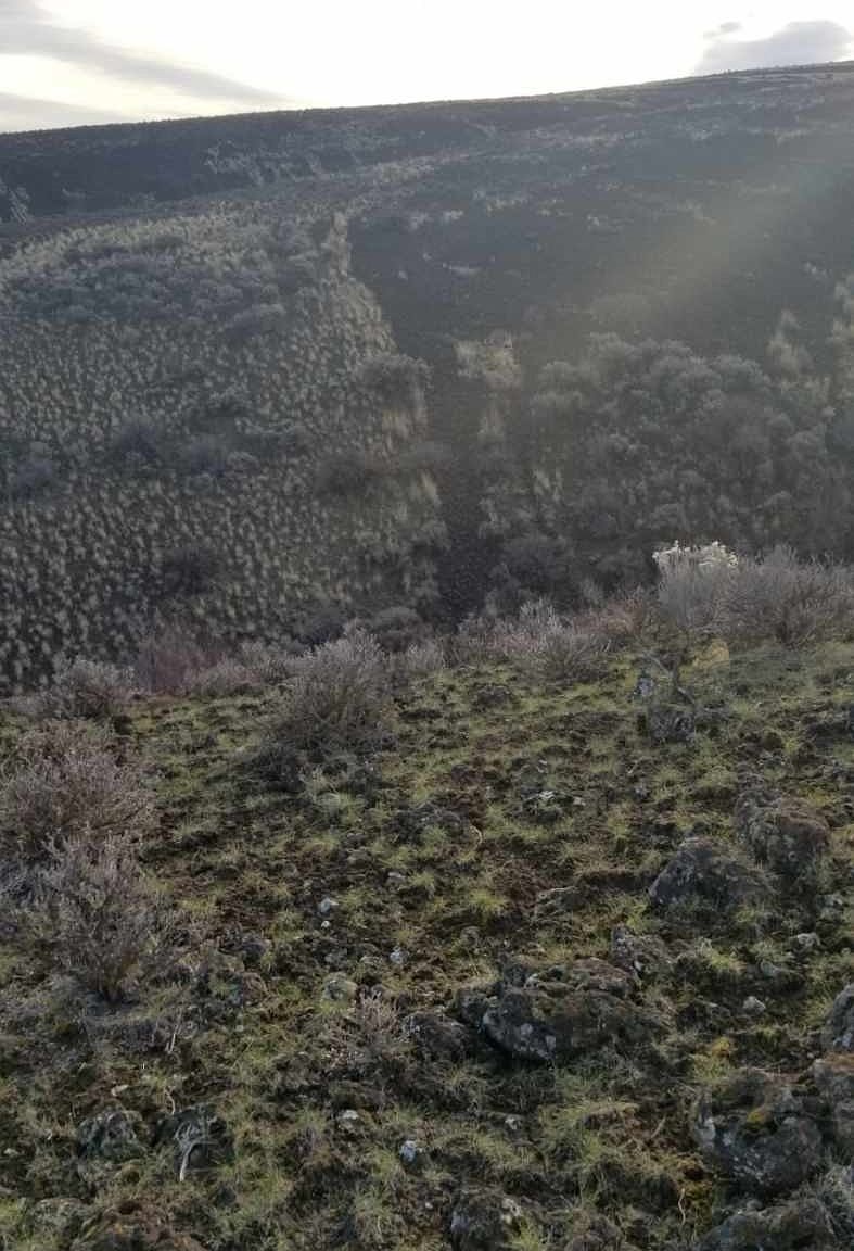 0 George Rd Yakima, WA 98901 - Thumbnail 3