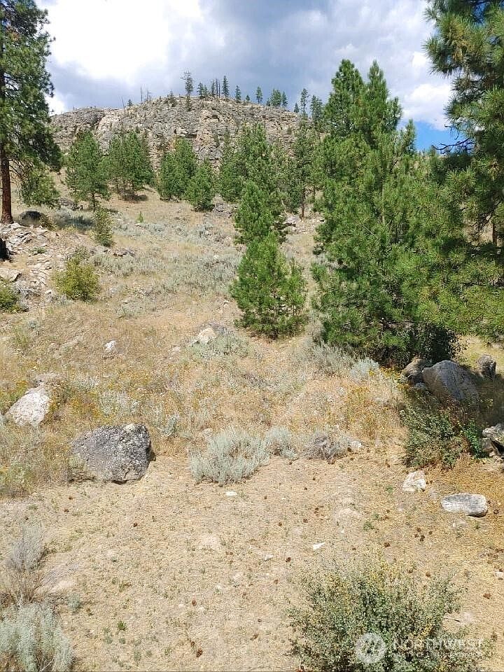 83 E Cayuse Mountain Rd Tonasket, WA 98855 - Thumbnail 3