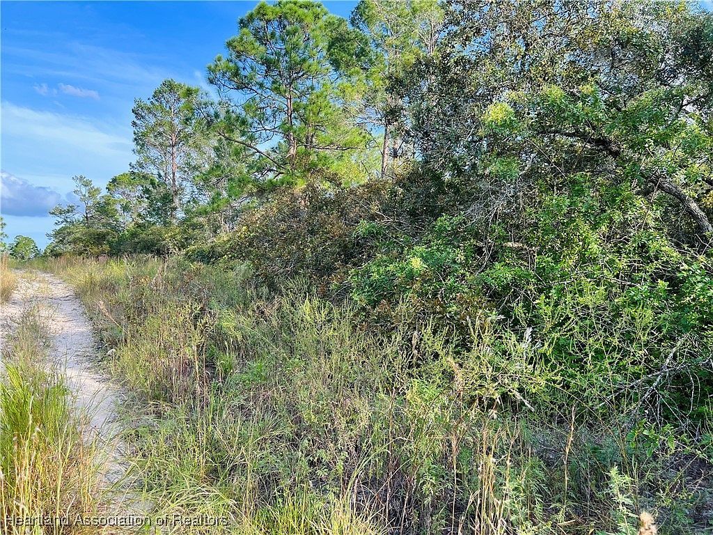 273 Tulip Dr Lake Placid, FL 33852 - Thumbnail 3