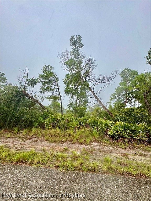 3047 Redwood Rd Lake Placid, FL 33852 - Thumbnail 3