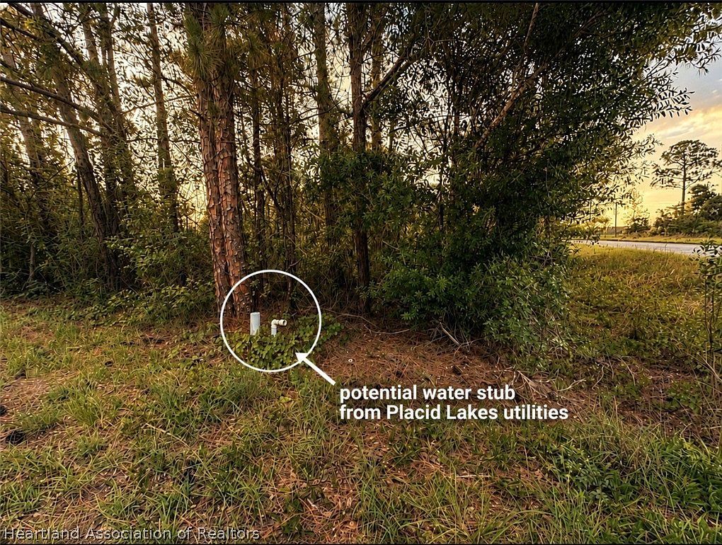 337 Comanche St NW Lake Placid, FL 33852 - Thumbnail 3