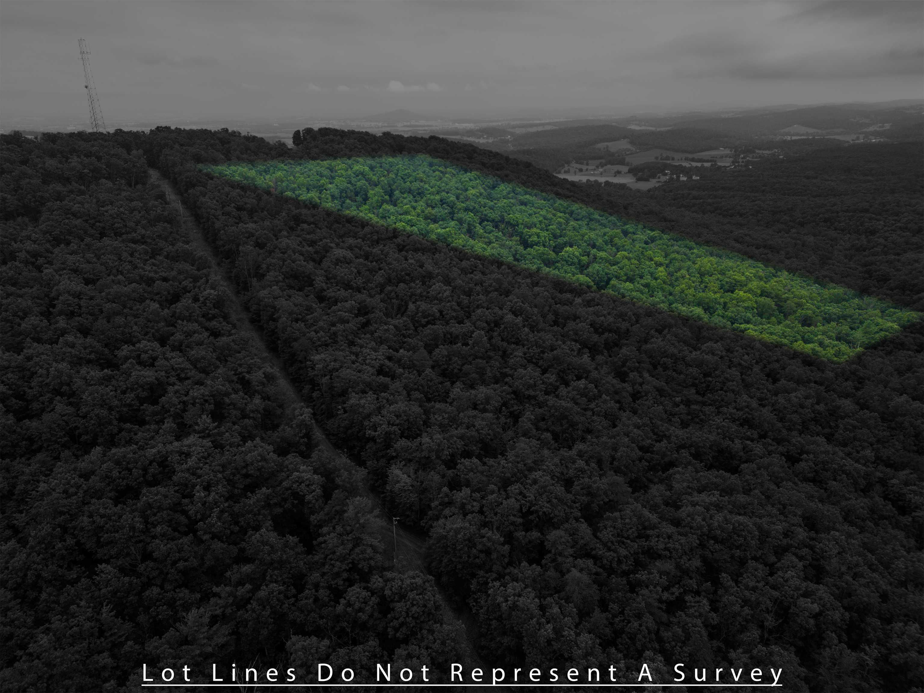 0 Tower Mountain Lane, Mount Jackson, VA, 22842 - Thumbnail 3