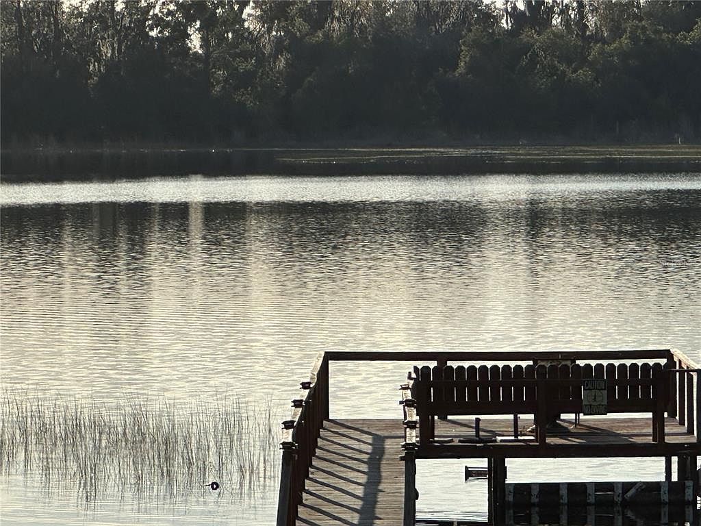 41515 Silver Dr Umatilla, FL 32784 - Thumbnail 3