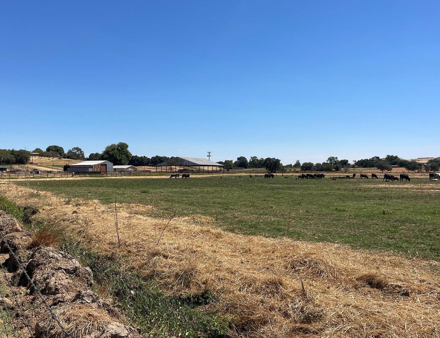 Morrison Rd Oakdale, CA 95361 - Thumbnail 3