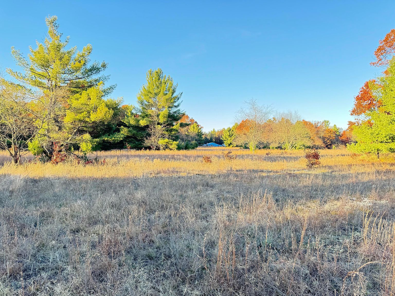 1001AC Barberry Ave Newaygo, MI 49337 - Thumbnail 3