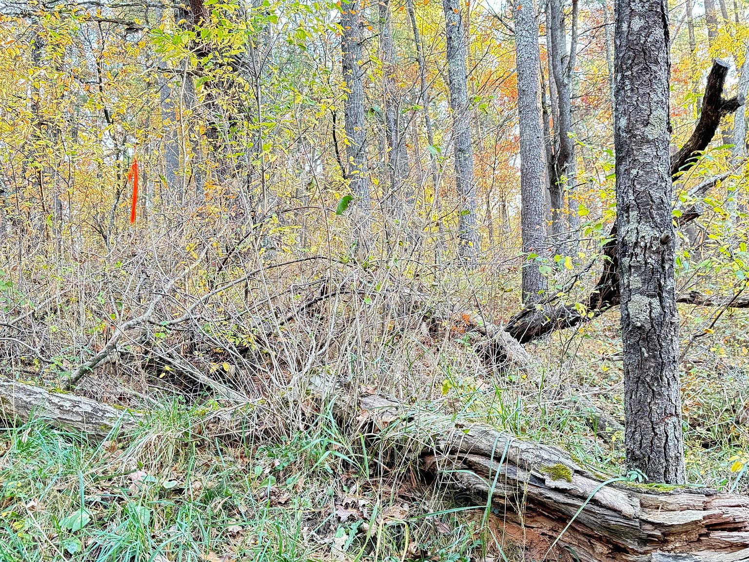 732AC E 58th St Newaygo, MI 49337 - Thumbnail 3