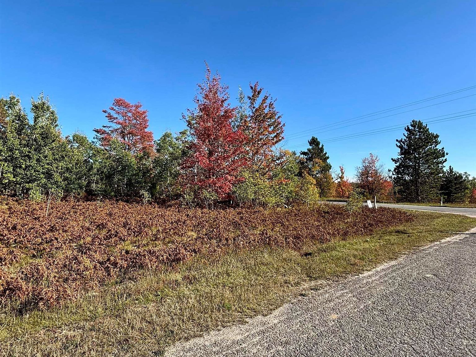 1200 Thornton Dr Mancelona, MI 49659 - Thumbnail 3