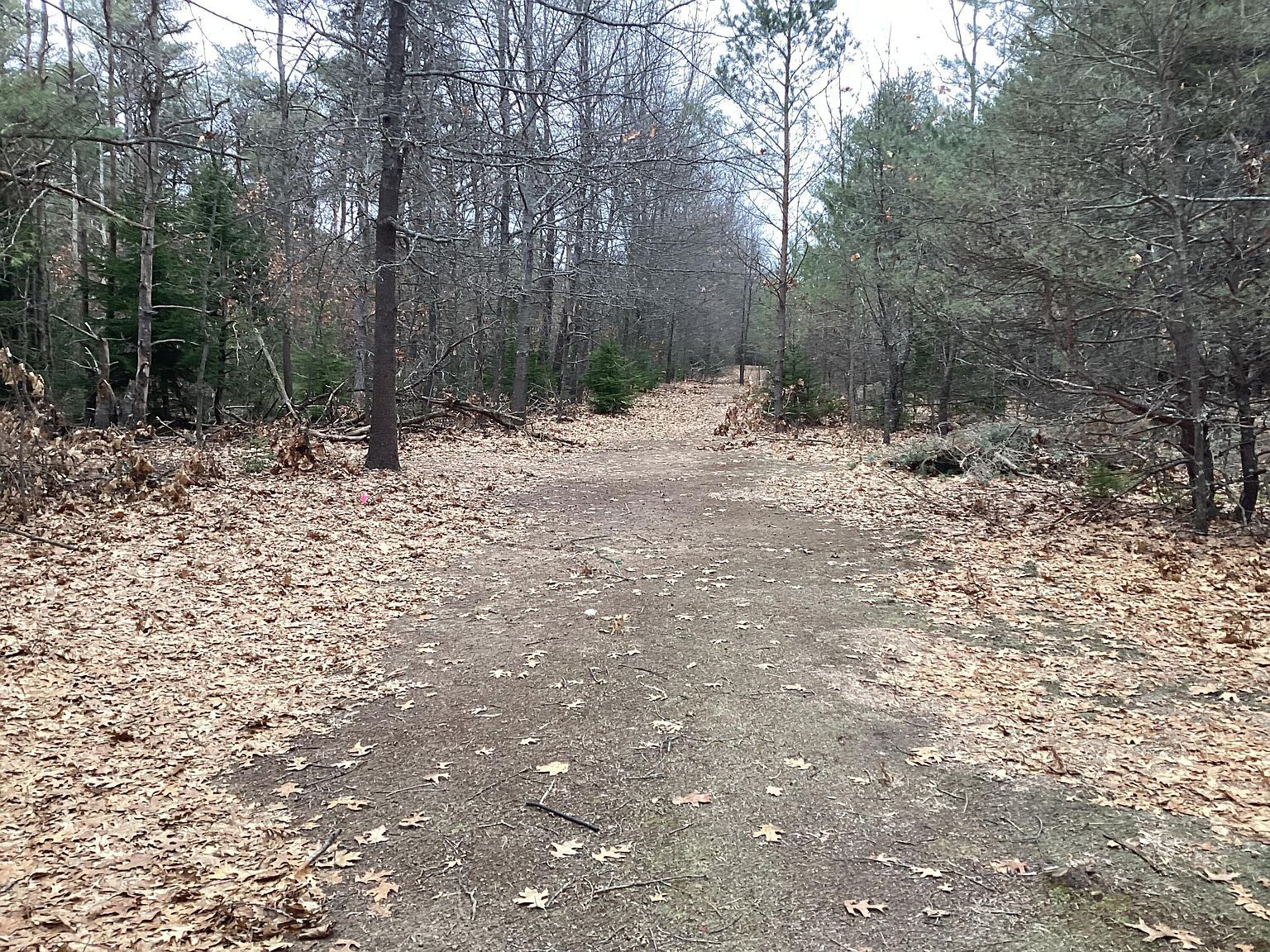 2510 W Winston Rd Rothbury, MI 49452 - Thumbnail 3