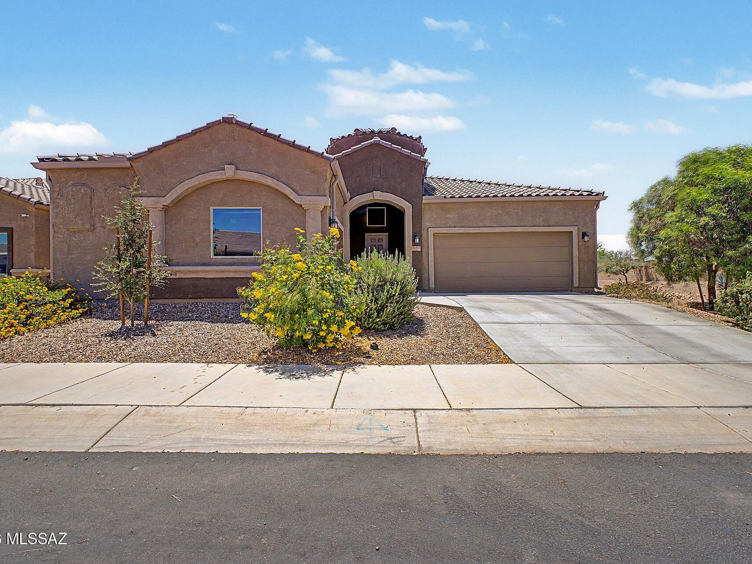 10311 N Pink Trumpet Dr Marana, AZ 85653 - Thumbnail 3