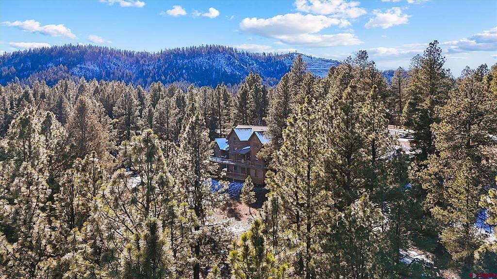 207 La Tierra Ct Pagosa Springs, CO 81147 - Thumbnail 3