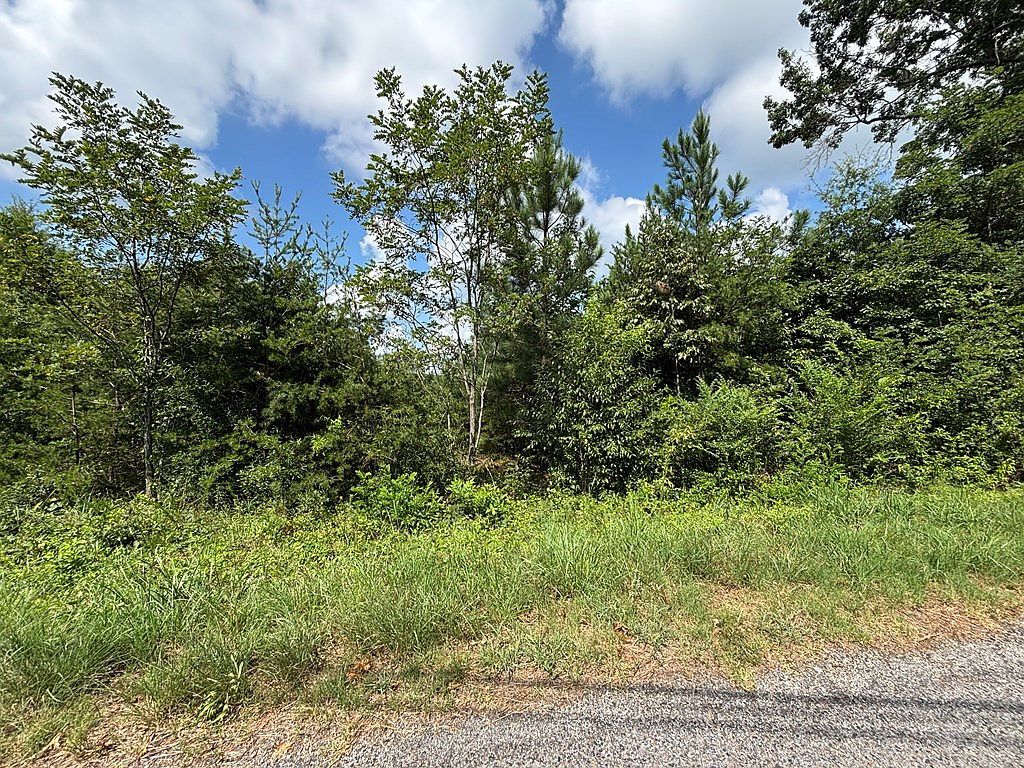 0 Martinsville Hwy Cascade, VA 24069 - Thumbnail 3