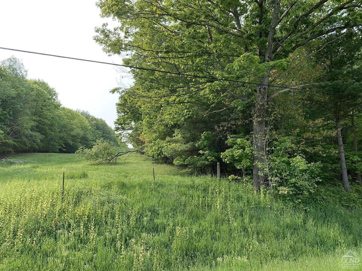 L4 County Route 5 Canaan, NY 12029 - Thumbnail 3