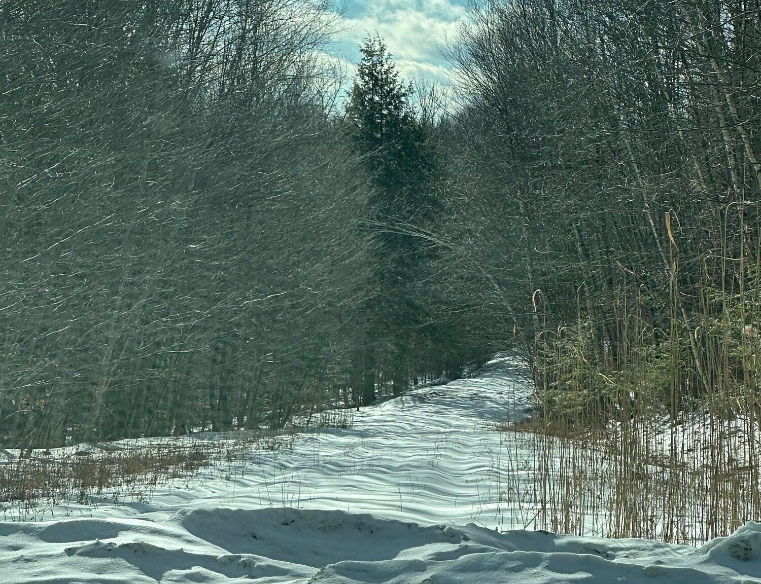 22 Beech Way Stephentown, NY 12168  | Land/Lot